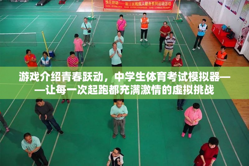 青春躍動，中學生體育考試模擬器——點燃激情的虛擬挑戰(zhàn)