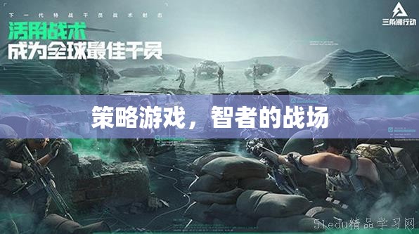 智者的戰(zhàn)場(chǎng)，策略游戲的智慧對(duì)決