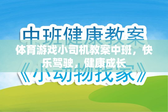 快樂駕駛，健康成長——中班體育游戲小司機(jī)教案