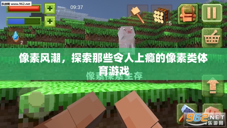 像素風(fēng)潮，探索令人上癮的像素類(lèi)體育游戲