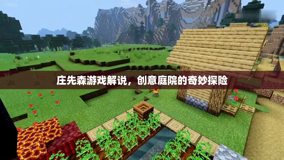 莊先森游戲解說(shuō)，創(chuàng)意庭院的奇妙探險(xiǎn)之旅  第1張