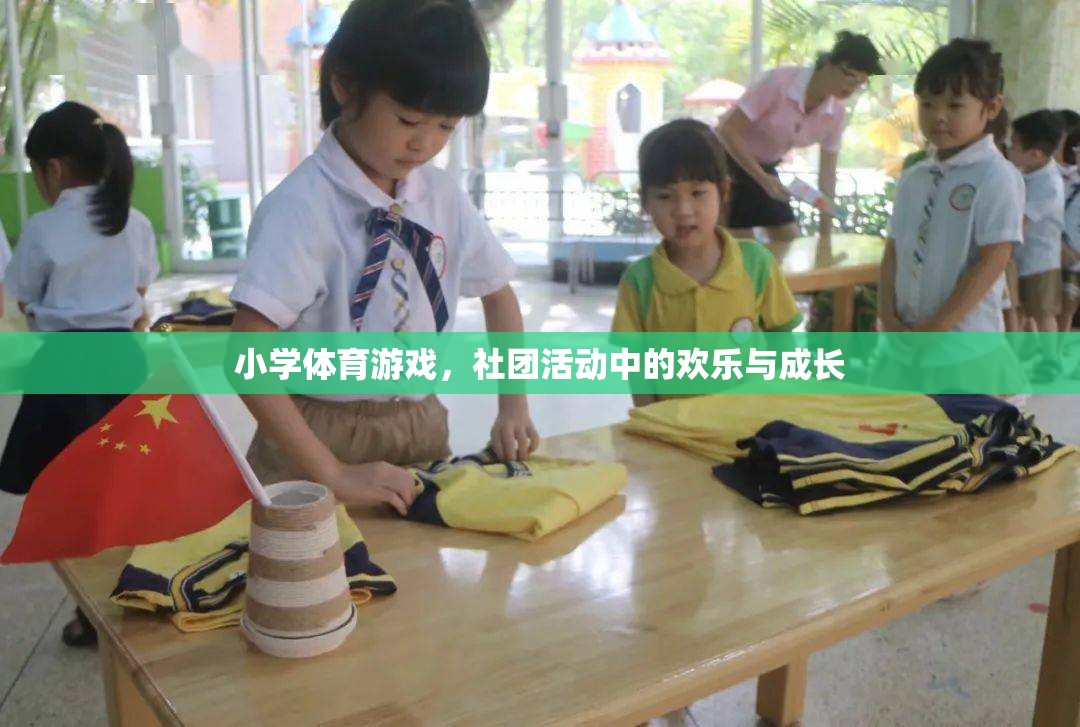 小學(xué)體育游戲，社團(tuán)活動(dòng)中的歡樂與成長(zhǎng)之旅