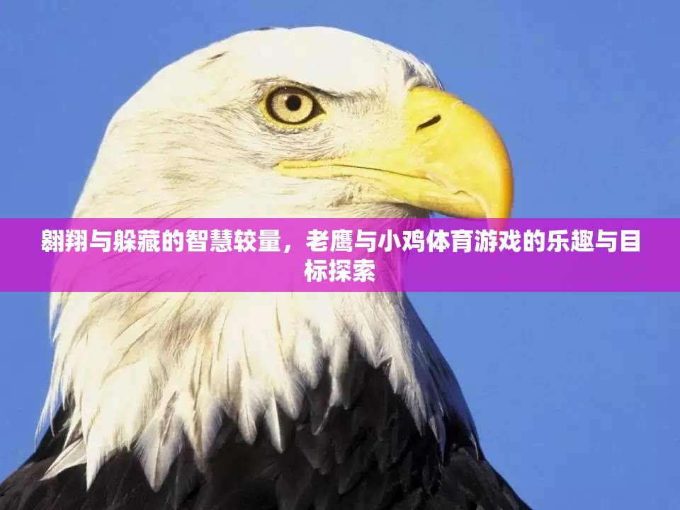 老鷹與小雞，智慧較量中的體育游戲樂趣與目標探索