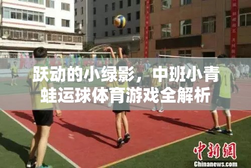 中班小青蛙運(yùn)球，躍動(dòng)的小綠影體育游戲全解析