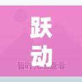 中班小青蛙運(yùn)球，躍動(dòng)的小綠影體育游戲全解析