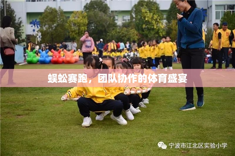 蜈蚣賽跑，展現(xiàn)團(tuán)隊(duì)協(xié)作的體育盛宴