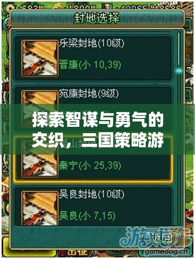 智勇交織，三國(guó)策略游戲的深度解析