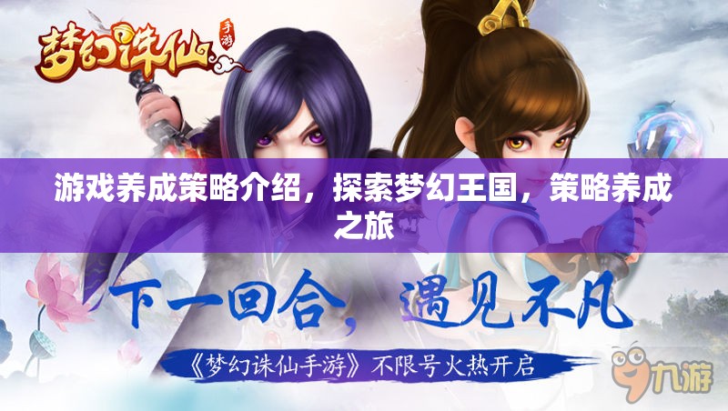 探索夢幻王國，游戲中的策略養(yǎng)成之旅