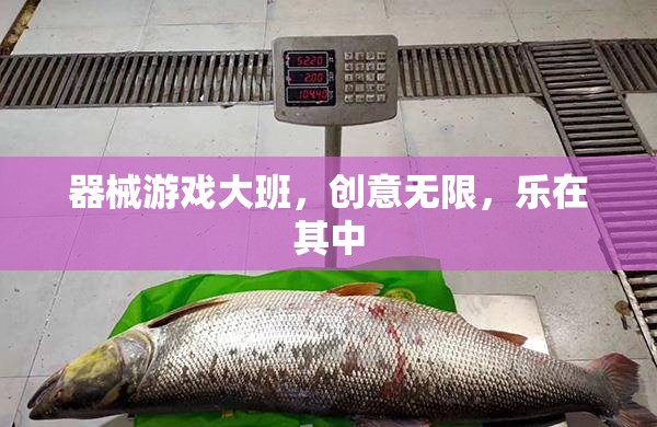器械游戲大班，激發(fā)創(chuàng)意，樂享其中