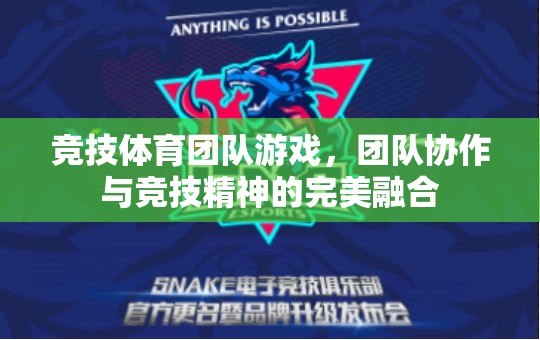 競技體育團(tuán)隊(duì)游戲，團(tuán)隊(duì)協(xié)作與競技精神的完美碰撞