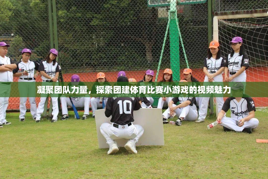 凝聚團(tuán)隊力量，探索團(tuán)建體育比賽小游戲的視頻魅力