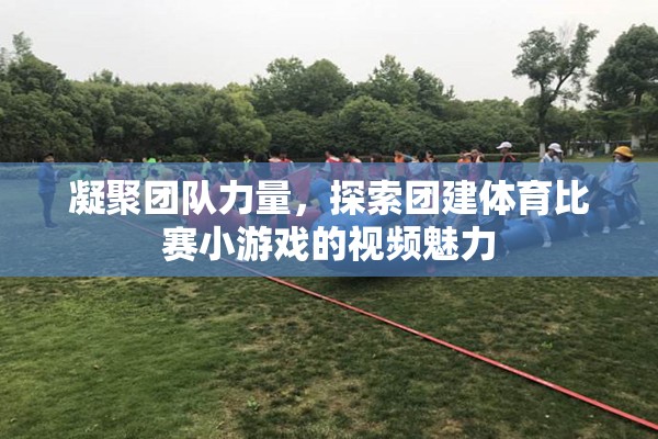 凝聚團(tuán)隊力量，探索團(tuán)建體育比賽小游戲的視頻魅力