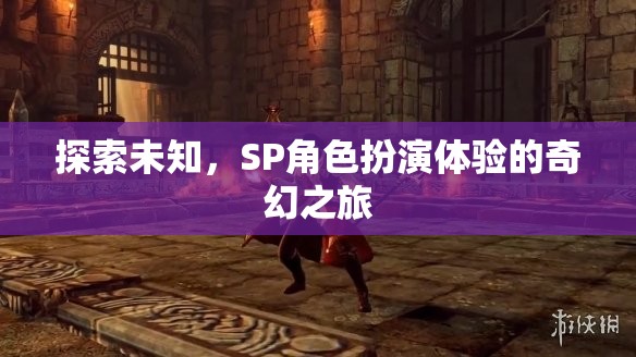 探索未知，SP角色扮演的奇幻之旅
