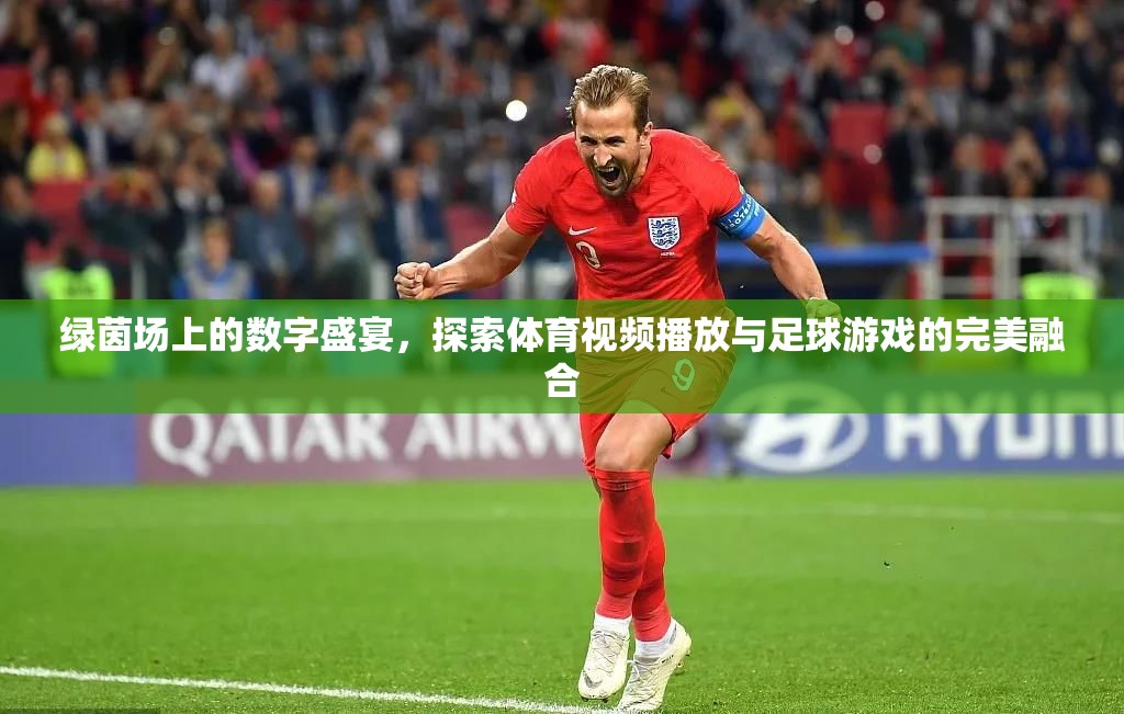 綠茵場(chǎng)上的數(shù)字盛宴，體育視頻播放與足球游戲的完美融合
