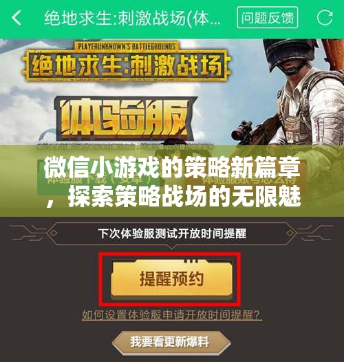 微信小游戲，策略新篇章，探索策略戰(zhàn)場的無限魅力