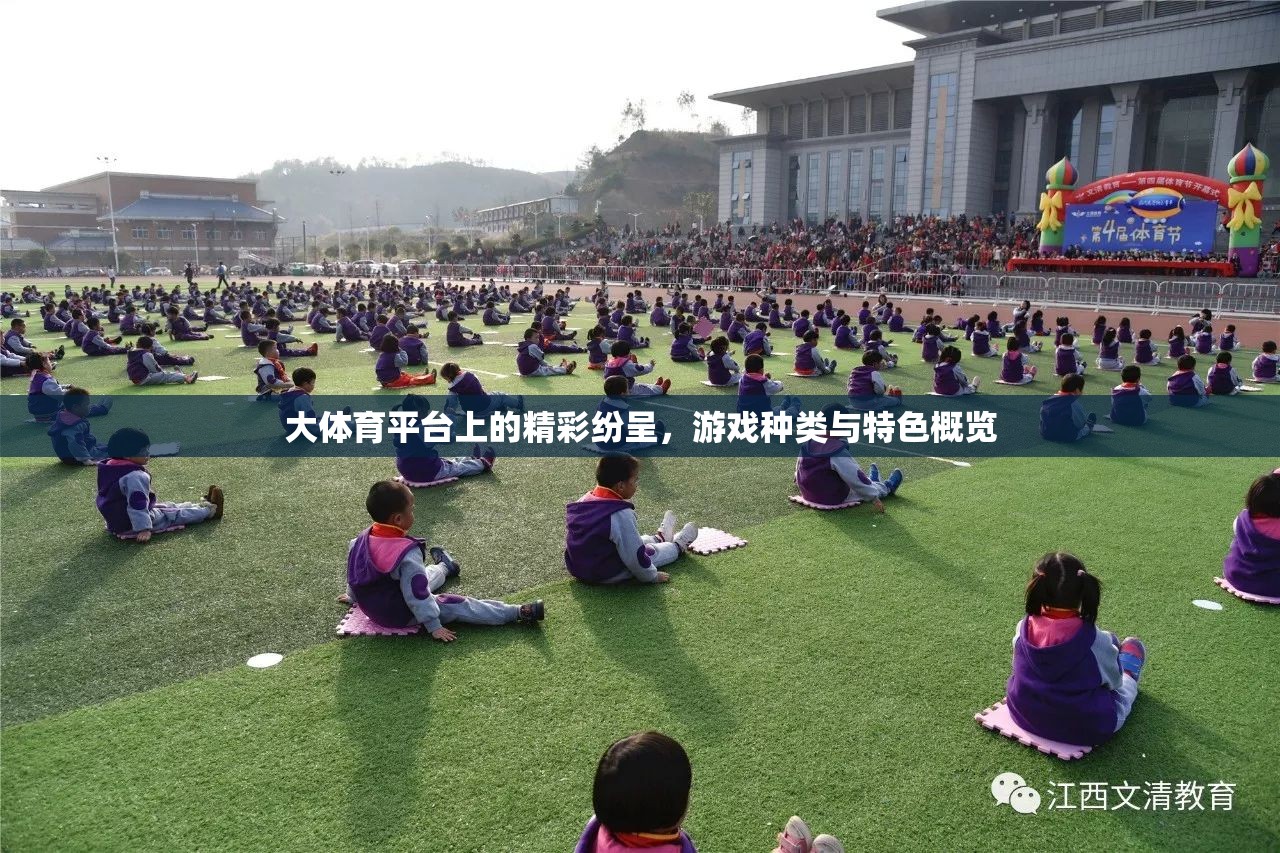 大體育平臺(tái)，游戲種類與特色概覽，精彩紛呈的體育娛樂(lè)盛宴