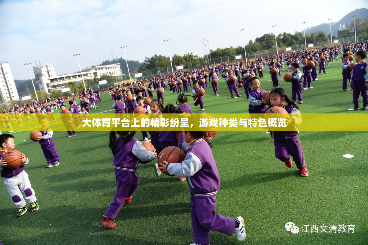大體育平臺(tái)，游戲種類與特色概覽，精彩紛呈的體育娛樂(lè)盛宴