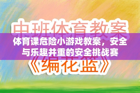安全與樂趣并重，體育課上的安全挑戰(zhàn)賽教案  第2張