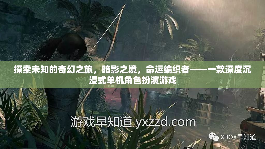 暗影之境，命運編織者的奇幻之旅——深度沉浸式單機角色扮演游戲探索