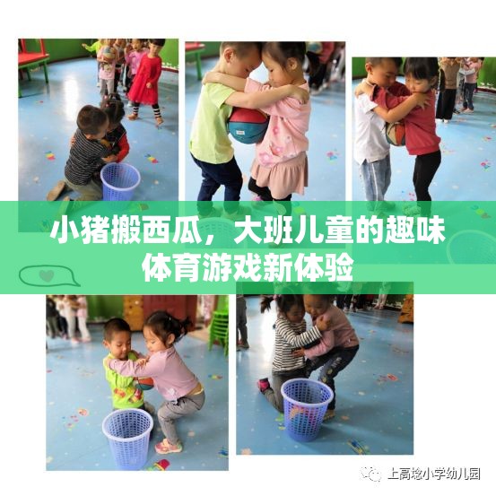 小豬搬西瓜，大班兒童趣味體育游戲新體驗