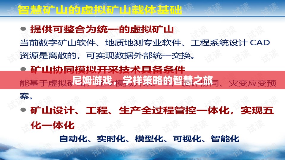 尼姆游戲，學樣策略的智慧之旅