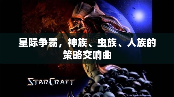星際爭(zhēng)霸，神族、蟲族與人族的策略交響樂章