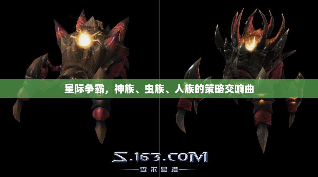 星際爭(zhēng)霸，神族、蟲族與人族的策略交響樂章