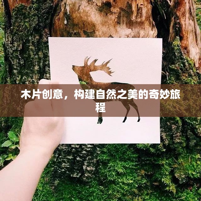 木片創(chuàng)意，探索自然之美的奇妙旅程