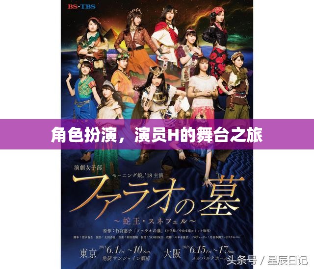 演員H的舞臺之旅，角色扮演的魅力與挑戰(zhàn)