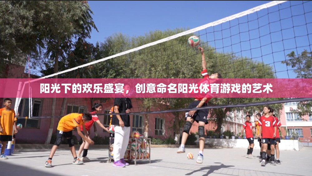 陽光下的創(chuàng)意盛宴，命名陽光體育游戲的藝術(shù)