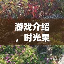 時(shí)光果園，蘋果之謎——昔日蘋果園的奇幻角色扮演之旅