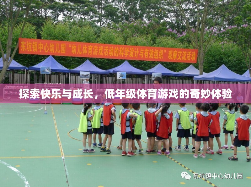 低年級(jí)體育游戲，探索快樂(lè)與成長(zhǎng)的奇妙之旅