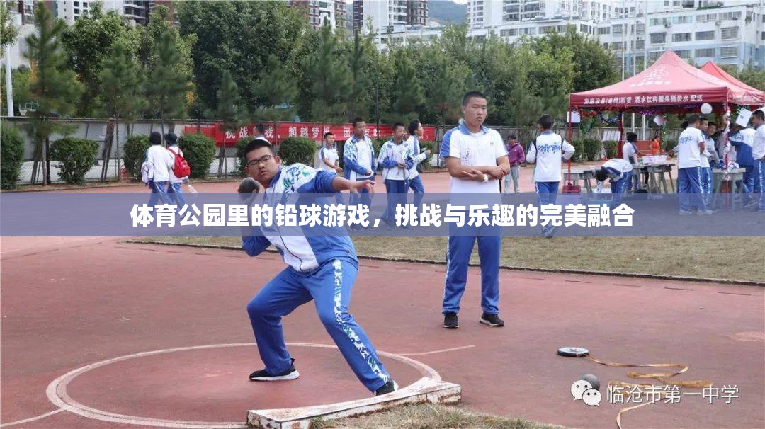 鉛球挑戰(zhàn)，體育公園中的樂趣與挑戰(zhàn)完美融合  第1張