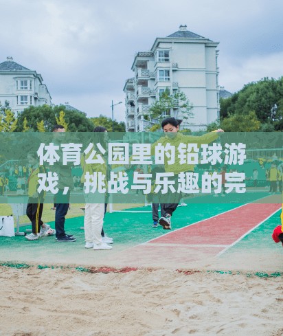 鉛球挑戰(zhàn)，體育公園中的樂趣與挑戰(zhàn)完美融合  第2張