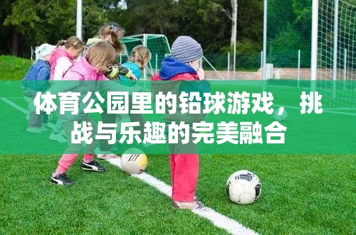 鉛球挑戰(zhàn)，體育公園中的樂趣與挑戰(zhàn)完美融合  第3張
