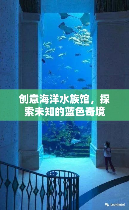 藍(lán)色奇境，創(chuàng)意海洋水族館的探索之旅