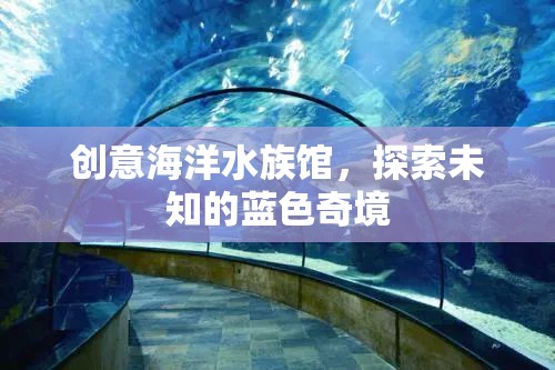 藍(lán)色奇境，創(chuàng)意海洋水族館的探索之旅