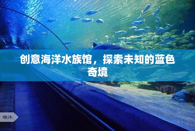 藍(lán)色奇境，創(chuàng)意海洋水族館的探索之旅