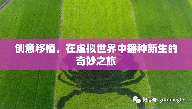 虛擬世界的創(chuàng)意移植，播種新生的奇妙之旅