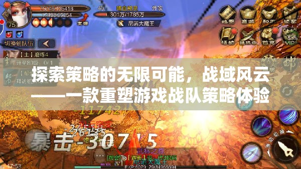 戰(zhàn)域風(fēng)云，重塑游戲戰(zhàn)隊(duì)策略體驗(yàn)的無限可能
