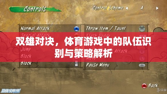 雙雄對決，體育游戲中的隊(duì)伍識別與策略解析