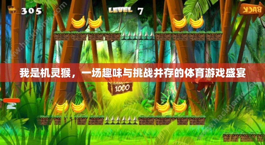 機(jī)靈猴，一場(chǎng)趣味與挑戰(zhàn)并存的體育游戲盛宴