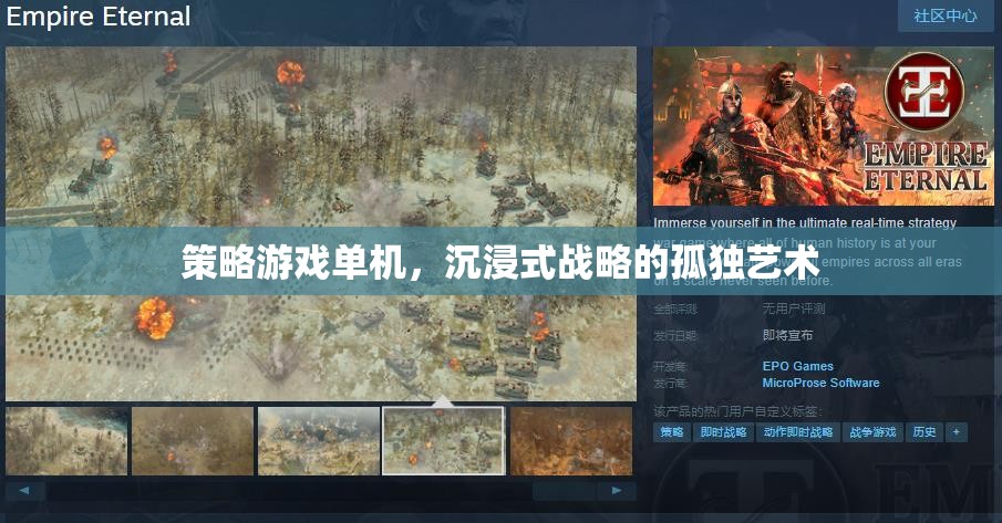 孤獨的戰(zhàn)爭藝術(shù)，探索策略游戲單機的沉浸式戰(zhàn)略
