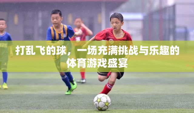 挑戰(zhàn)與樂(lè)趣并存，打亂飛的球體育游戲盛宴