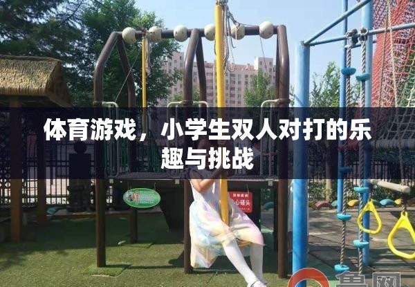 小學(xué)生雙人對(duì)打，體育游戲中的樂(lè)趣與挑戰(zhàn)