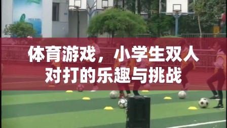小學(xué)生雙人對(duì)打，體育游戲中的樂(lè)趣與挑戰(zhàn)