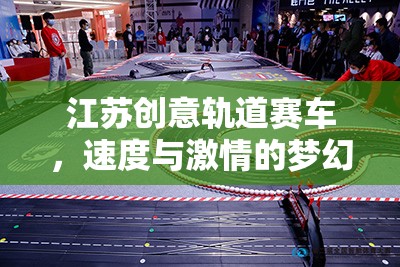 江蘇創(chuàng)意軌道賽車(chē)，速度與激情的夢(mèng)幻之旅  第2張