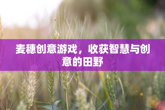麥穗創(chuàng)意游戲，在智慧與創(chuàng)意的田野上播種收獲