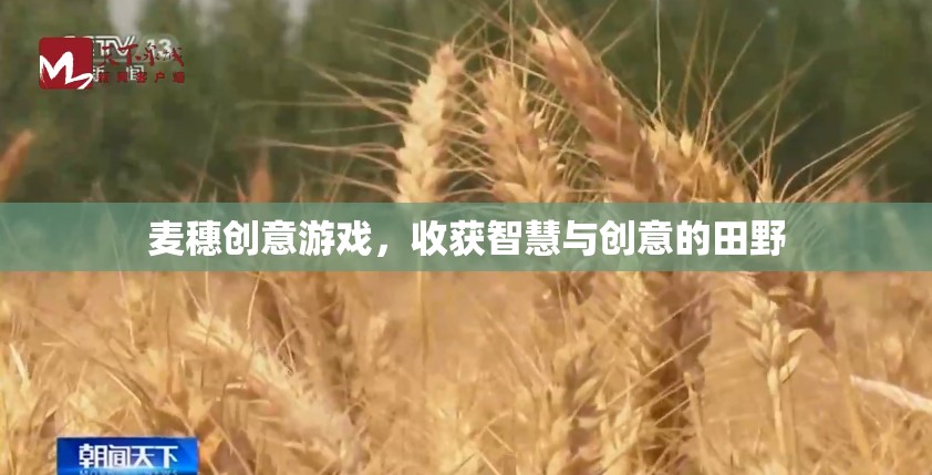 麥穗創(chuàng)意游戲，在智慧與創(chuàng)意的田野上播種收獲