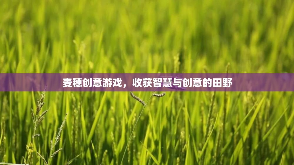 麥穗創(chuàng)意游戲，在智慧與創(chuàng)意的田野上播種收獲